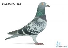 PL-065-25-1980  7. Okręg GDAŃSK 