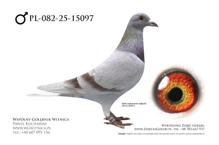 PL-082-25-15097: Karolina Lukasz Gaj