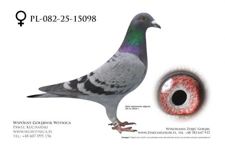 PL-082-25-15098: Karolina Lukasz Gaj, 18. Lotnik, m in 25m, 35m z FINAŁU