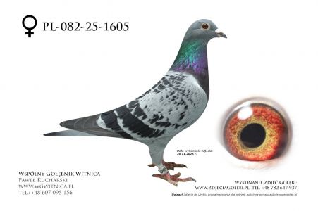 PL-082-25-1605: Ryszard Maruszewski, 23 Lotnik, m in 7m z FINAŁU