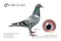 PL-082-25-1625: Ryszard Maruszewski, 78. Lotnik