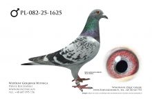 PL-082-25-1625: Ryszard Maruszewski, 78. Lotnik