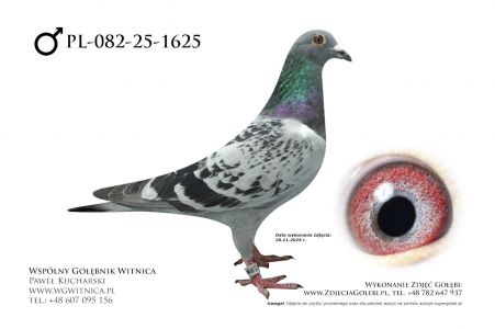 PL-082-25-1625: Ryszard Maruszewski, 78. Lotnik