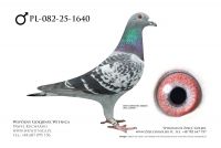 PL-082-25-1640: Ryszard Maruszewski