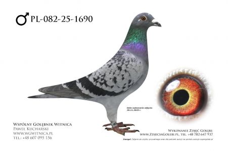 PL-082-25-1690: Ryszard Maruszewski, m in 40m