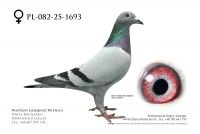 PL-082-25-1693: Ryszard Maruszewski, 86. Lotnik