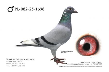 PL-082-25-1698: Ryszard Maruszewski