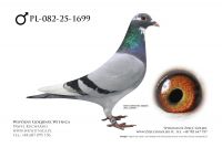 PL-082-25-1699: Ryszard Maruszewski