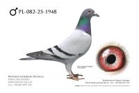 PL-082-25-1948: Paluch-Szymanski, 33. Lotnik, m in 38m z FINAŁU