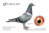 PL-082-25-2697: Jerzy Karolak, 60. Lotnik, m in 33m z FINAŁU