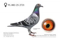 PL-082-25-2721: Jerzy Karolak