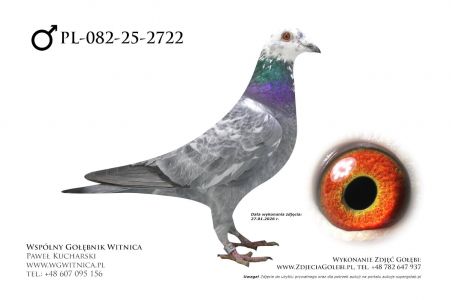 PL-082-25-2722: Jerzy Karolak, 8. Lotnik, m in 31m, 13m