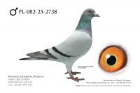 PL-082-25-2738: Jerzy Karolak, m in 14m