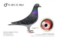PL-082-25-3864: Jerzy Karolak