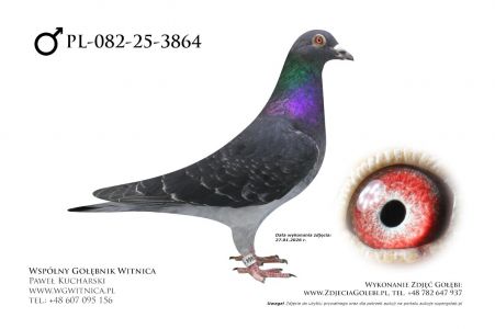 PL-082-25-3864: Jerzy Karolak