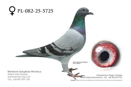 PL-082-25-5725: Grzegorz Gras, 9 Lotnik, m in 8m, 20m z FINAŁU 9 Lotnik