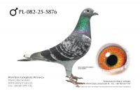 PL-082-25-5876: Marcin Ciszyk