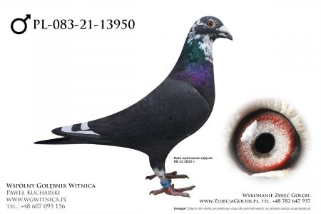 PL-083-21-13950 ANDRZEJ BUCZKOWSKI