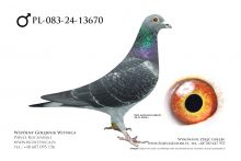 PL-083-24-13670: Bogdan Solski