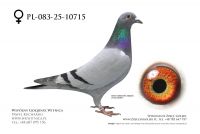 PL-083-25-10715: Marian Szoppe