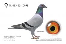 PL-083-25-10958: Jan Romankiewicz