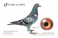 PL-083-25-10995: Jan Romankiewicz, 6 Lotnik, m in 4m, 15m z FINAŁU