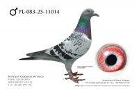 PL-083-25-11014: Kacper Mak, m in 10m