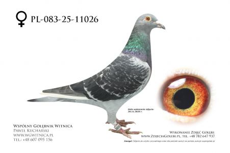 PL-083-25-11026: Michal Bulkowski, 42 Lotnik, m in 6m z FINAŁU