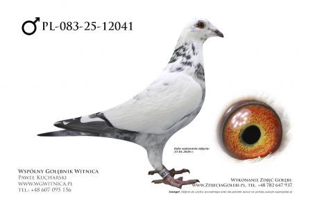 PL-083-25-12041: Andrzej Buczkowski, 70. Lotnik