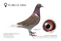 PL-083-25-12043: Dream Team, 54. Lotnik, m in 42m