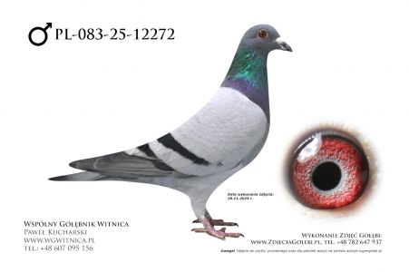 PL-083-25-12272: Adrian Jabkowski, 62. Lotnik, m in 37m z FINAŁU