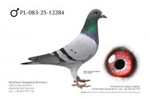 PL-083-25-12284: Dream Team, 90. Lotnik