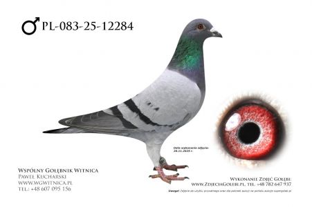 PL-083-25-12284: Dream Team, 90. Lotnik