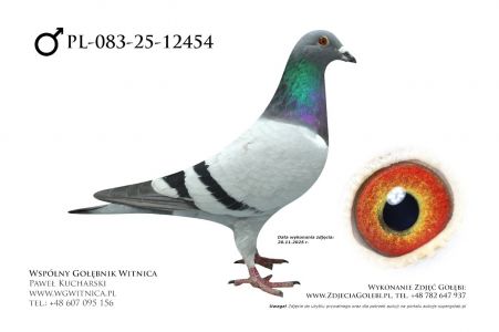 PL-083-25-12454: Dream Team, 61. Lotnik, m in 36m z FINAŁU