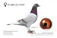 PL-083-25-12769: Tadeusz Kosmala, m in 4m