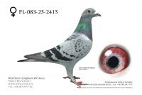 PL-083-25-2415: Kosia