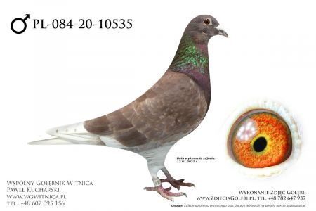 PL-084-20-10535 - Buczkowski Andrzej