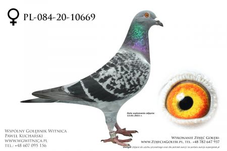 PL-084-20-10669 - Puchala Jozef