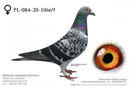 PL-084-20-10669 ŚP. JÓZEF PUCHAŁA PREZENT OD ANDRZEJA BUCZKOWSKIEGO