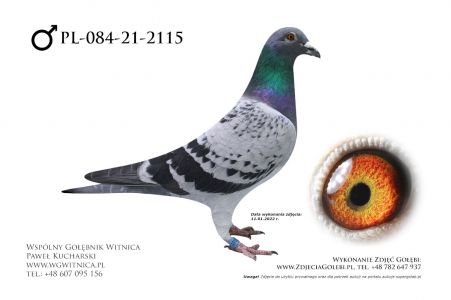 PL-084-21-2115: Garncarz Marian - Mistrz Okręgu Gorzów Wlkp. w kat. A