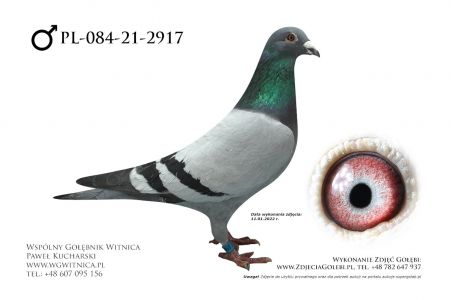 PL-084-21-2917: Andrzejewski Daniel, 58. Lotnik, m.in. 39m. z FINAŁU