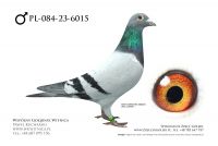 PL-084-23-6015: Julian Sliz, 2 AS DOROSŁE CUP 2025, m in 28m, 20m, 6m, 1m, 9m, 28m z FINAŁU