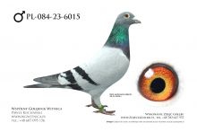 PL-084-23-6015: Julian Sliz, 2 AS DOROSŁE CUP 2025, m in 28m, 20m, 6m, 1m, 9m, 4m z FINAŁU