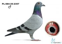 PL-084-25-2357 Andrzej i Paweł Jasiński