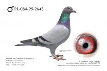 PL-084-25-2643: Team Romaniuk, 81. Lotnik