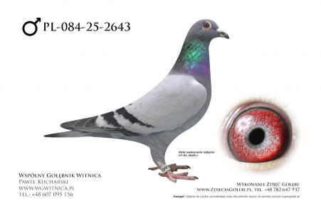 PL-084-25-2643: Team Romaniuk, 81. Lotnik