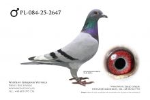 PL-084-25-2647: Team Romaniuk, 73. Lotnik