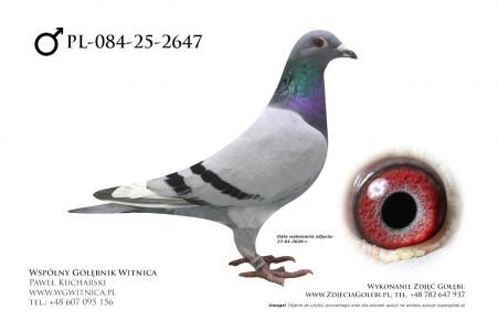 PL-084-25-2647: Team Romaniuk, 73. Lotnik