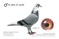 PL-084-25-4650: J + G Hrycaj, m in 34m z FINAŁU