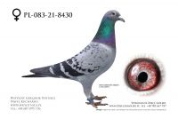 PL-085-21-8430: Kropp Henryk Radosła, 74. Lotnik
